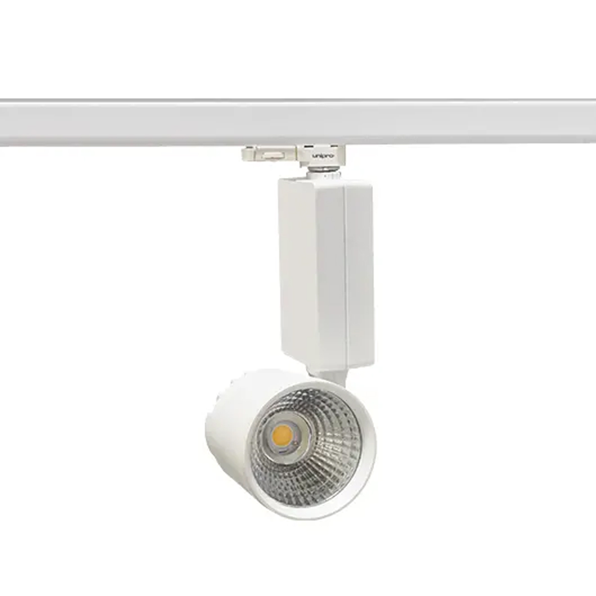 SP1000114 (+) - XXXP30S